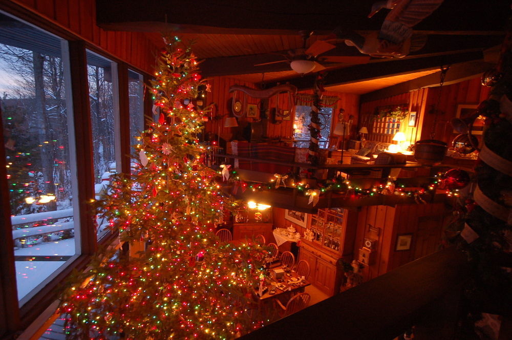 Stouffermill Bed & Breakfast Algonquin Highlands Bagian luar foto